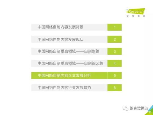 2017年中國(guó)網(wǎng)絡(luò)自制內(nèi)容行業(yè)研究報(bào)告 數(shù)字內(nèi)容制作服務(wù)